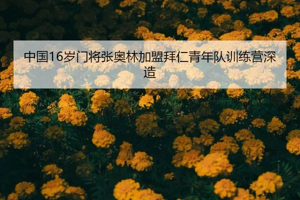 zhong-guo-sui-men-jiang-zhang-ao-lin-jia-meng-bai-ren-qing-nian-dui-xun-lian-ying-shen-zao-2-459.jpg