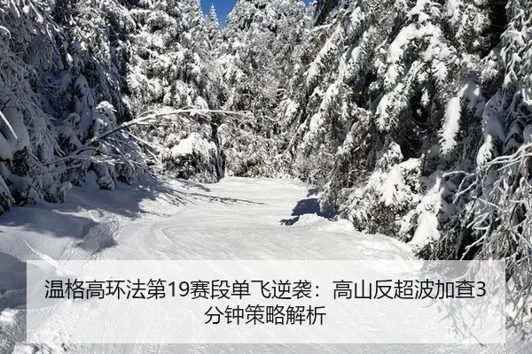 wen-ge-gao-huan-fa-di-sai-duan-dan-fei-ni-xi-gao-shan-fan-chao-bo-jia-cha-fen-zhong-ce-lve-jie-xi-2-782.jpg